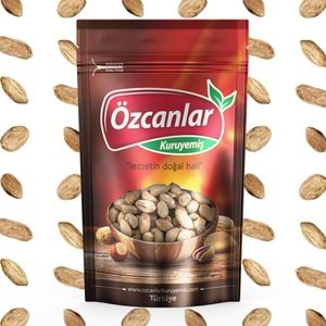 KÜÇÜK YER FISTIĞI (TUZLU FIRINLANMIŞ)