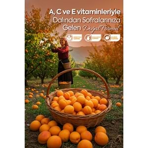ZÜHRE ANA KAYISI ÖZÜ 640 G