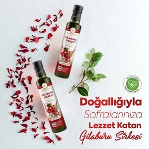 ZÜHRE ANA GİLABURU SİRKESİ 500 ML