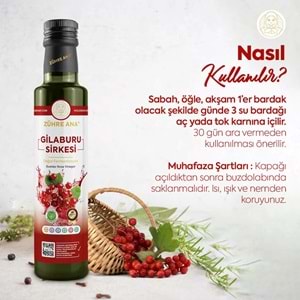 ZÜHRE ANA GİLABURU SİRKESİ 500 ML